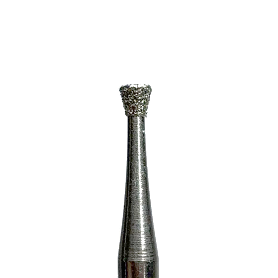 Art. 19