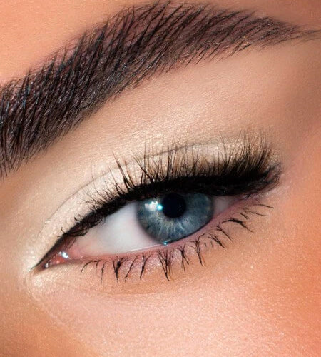 Color Idol Mono Eyeshadow