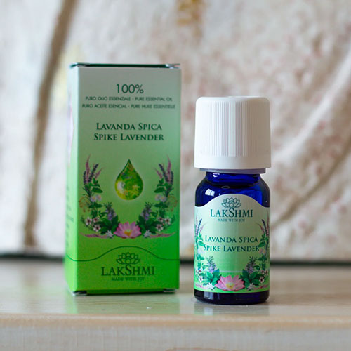Lavanda Spica